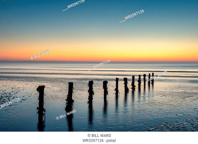 Groynes, Brean Beach, Somerset, England, United Kingdom, Europe