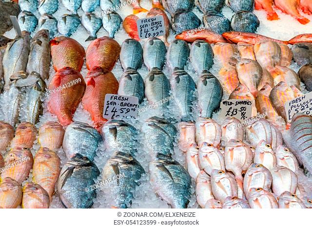 Frischer Fisch zum Verkuaf auf einem Markt in London, England