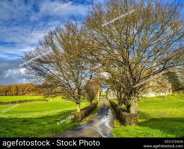 country road at Monbos, Dordogne Department, Nouvelle-Aquitaine, France