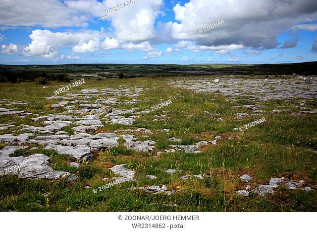 Burren landscape, County Clare, Ireland