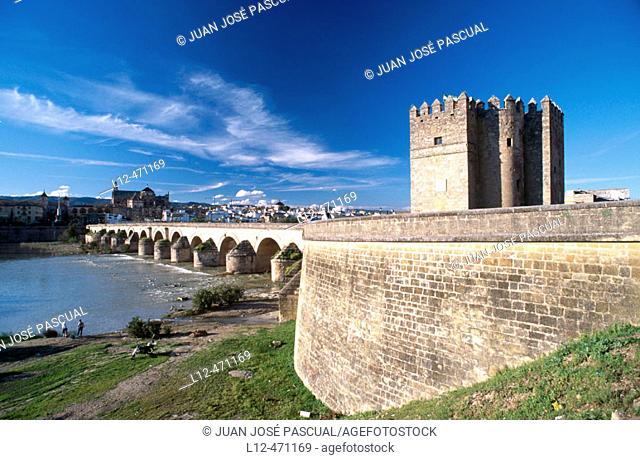 Torre de la Calahorra and Roman bridge over Guadalquivir River, Córdoba, Spain