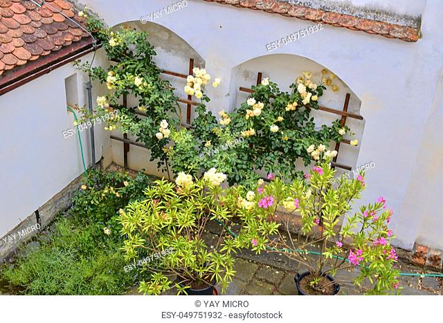 View on romantic urban scenery. Historic urban backyard with flowers