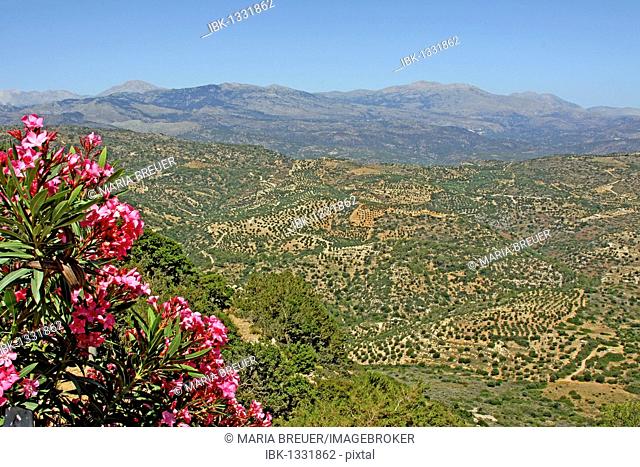 Oros Dicti mountains, view from the terrace, Moni Faneromenis, monastery, Crete, Greece, Europe