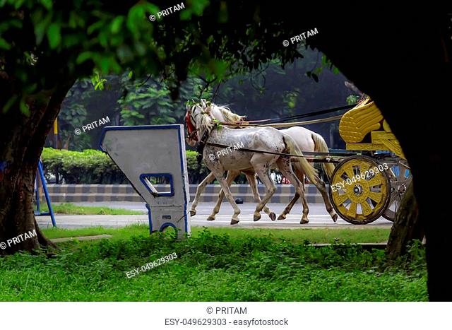 Portrait of a traditional decorated dress horse cart also known as Tanga or Rickshaw or chariot in ( Kolkata, West Bengal, India
