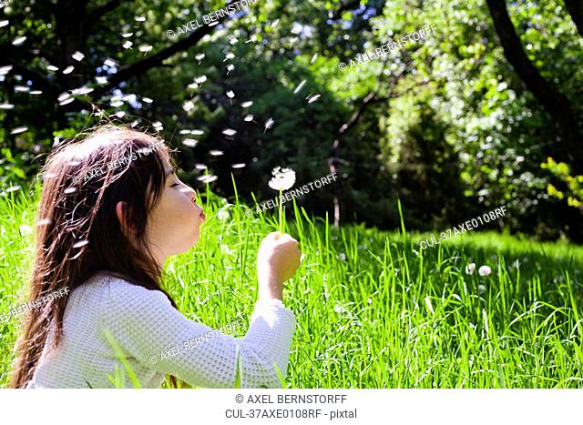 Girl blowing dandelion outdoors