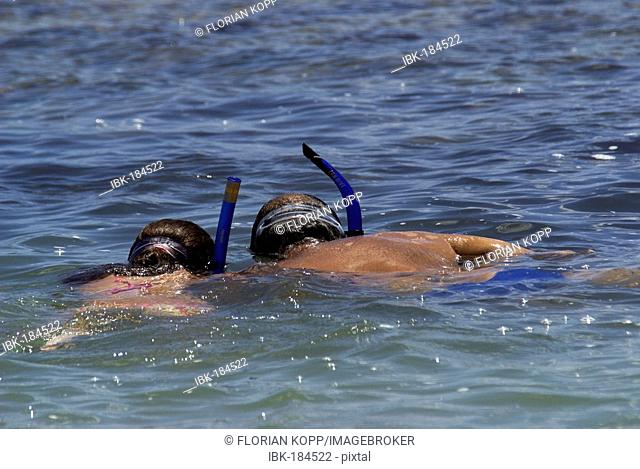 Father and daughter snorkeling, Recife, Brazil