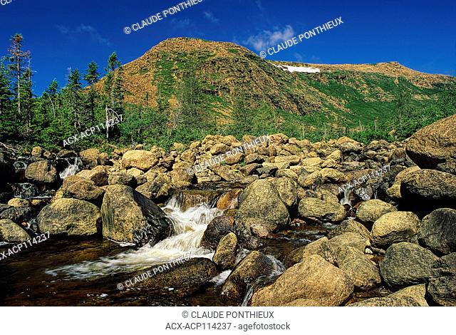 Mountain stream and the Mont-Albert in the background, Gaspésie National Park, Gaspé, Québec, Canada