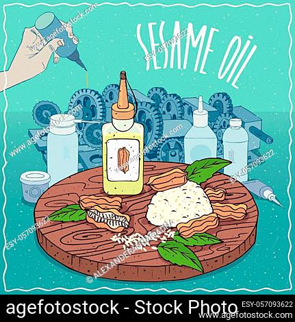 Sesame seed vector Stock Photos and Images | agefotostock