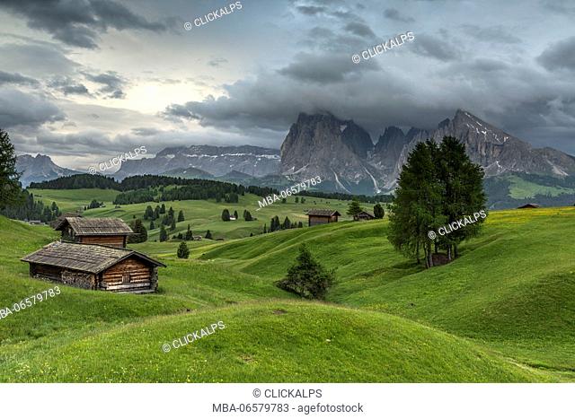 Alpe di Siusi/Seiser Alm, Dolomites, South Tyrol, Italy, Barns and pastures at the Alpe di Siusi/Seiser Alm, In the background the peaks of Sella