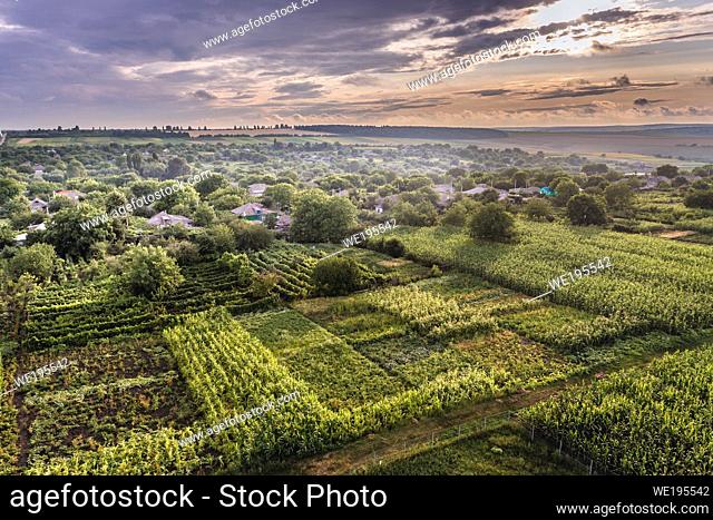 Small fields in Saharna Noua village, Rezina District of Moldova