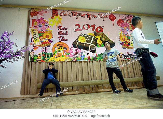 About 250 Vietnamese people celebrated the arrival of their New Year, which begins on February 8 in the cultural center in Borek, near Ceske Budejovice