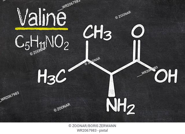 Blackboard with the chemical formula of Valine