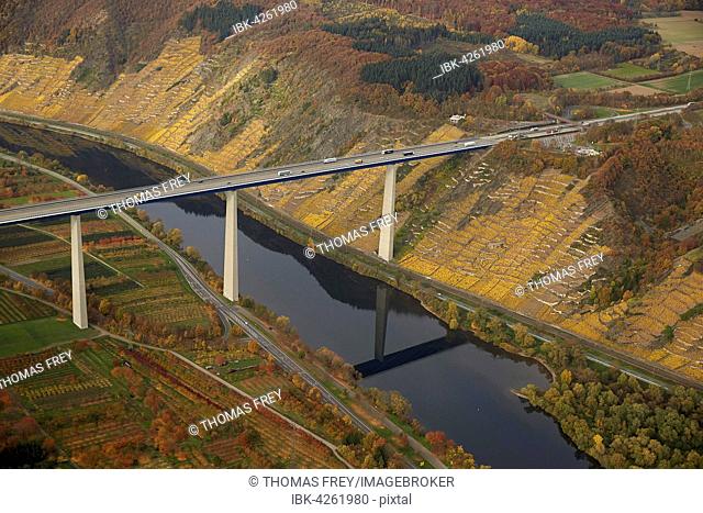 Highway bridge A61 over the Moselle in Winningen, Rhineland-Palatinate, Germany