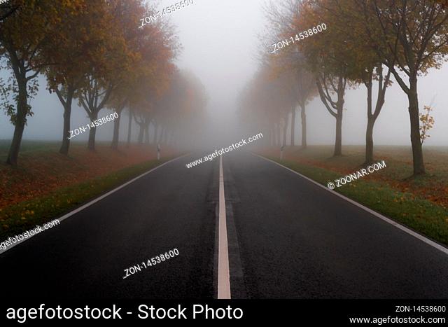 The road in autumn and thick fog at morning