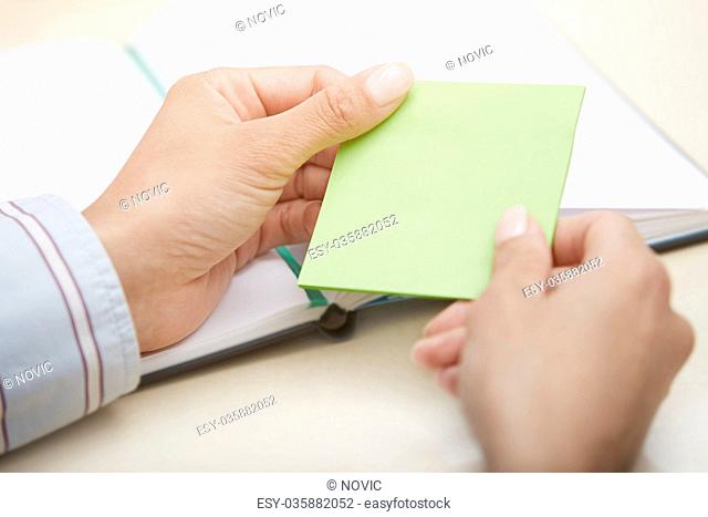 Blank green adhesive note