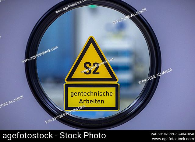 PRODUCTION - 24 October 2023, Mecklenburg-Western Pomerania, Teterow: A viewing window in the access to an S2 laboratory for genetic engineering work at...