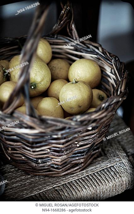 Still life with lemons basket of bulrushes on the chair in the kitchen
