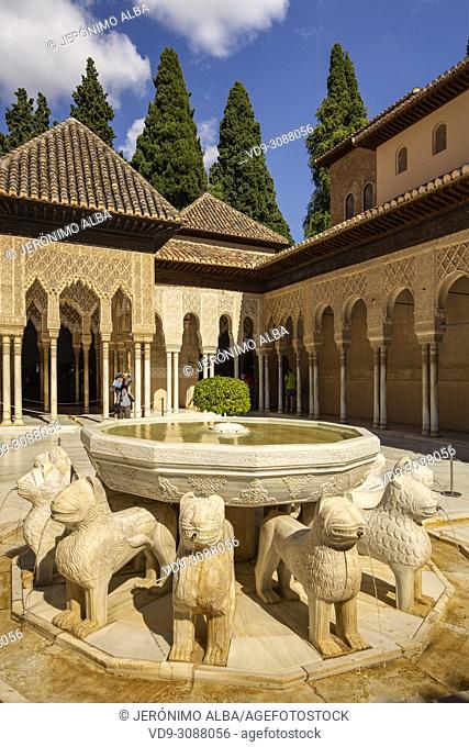 Patio de los Leones, Court of the Lions. Alhambra, UNESCO World Heritage Site. Granada City. Andalusia, Southern Spain Europe