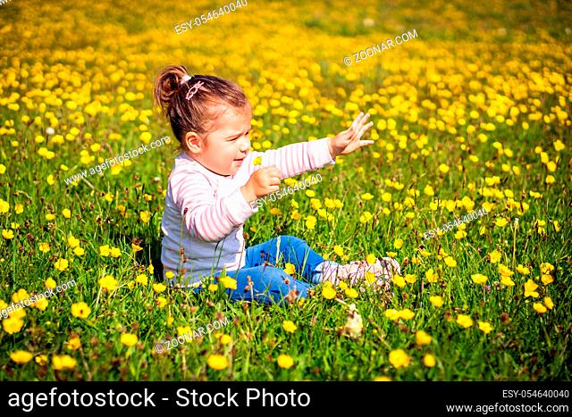 Young little girl sitting on meadow, holding flower and reaching out hand, many yellow flowers, summer day, blurred background, Ireland