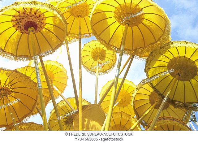Asia, South East Asia, Indonesia, yellow balinese umbrella