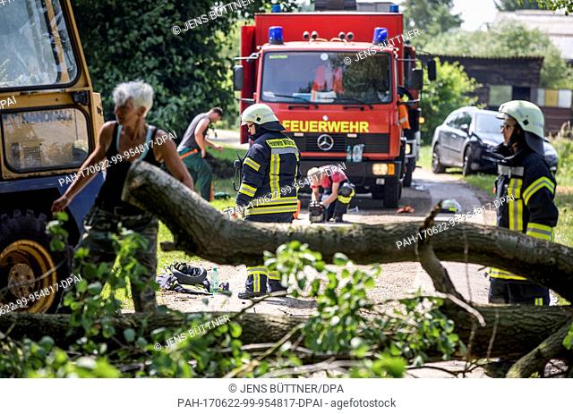 Voluntary helpers and firefighters clear fallen trees to the side of a road near to Wittenburg, Germany, 22 June 2017. Severe storms with heavy rains hit...