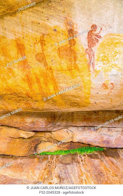 Human figures, Salmanslaagte Bushman Rock Art Trail, Clanwilliam, Cederberg Mountains, Western Cape province, South Africa, Africa