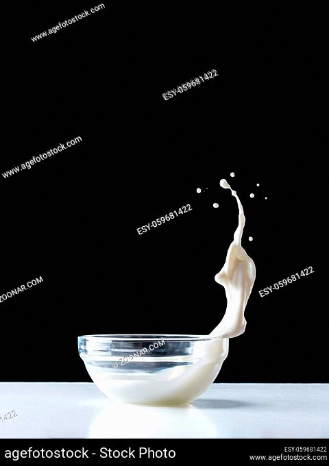 Milk splash in glass plate on white table. Isolated on black background. Flying food. Copy space. Vertical