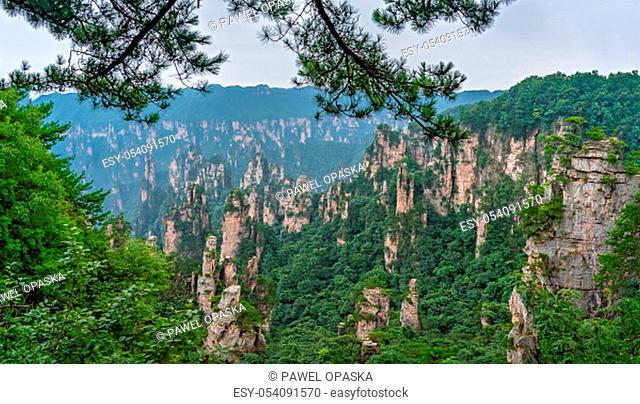 Panoramic view of the stone pillars of Tianzi mountains in Zhangjiajie National park which is a famous tourist attraction, Wulingyuan, Hunan Province, China