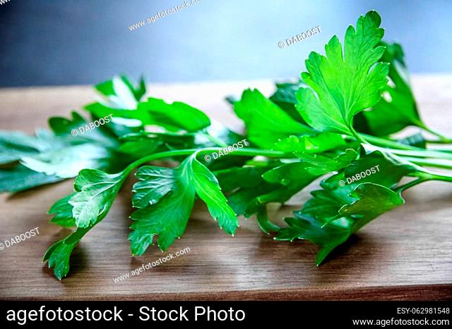 Bunch of fresh parsley stem on a wooden cutting board
