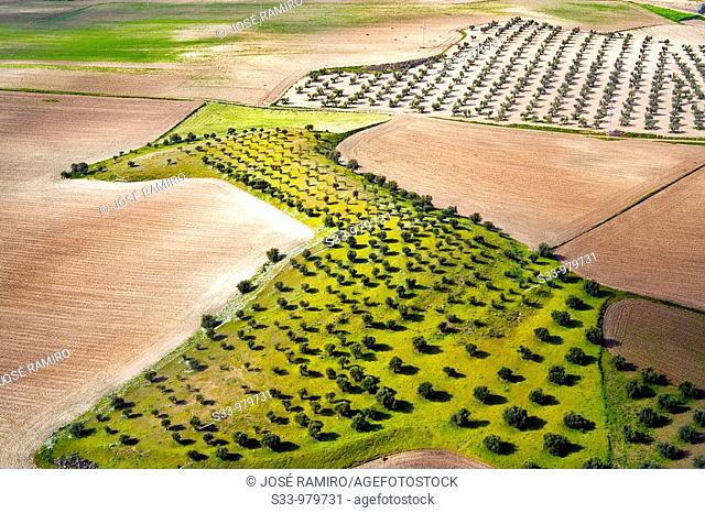 Vista aerea de los campos de Pinto  Madrid  España