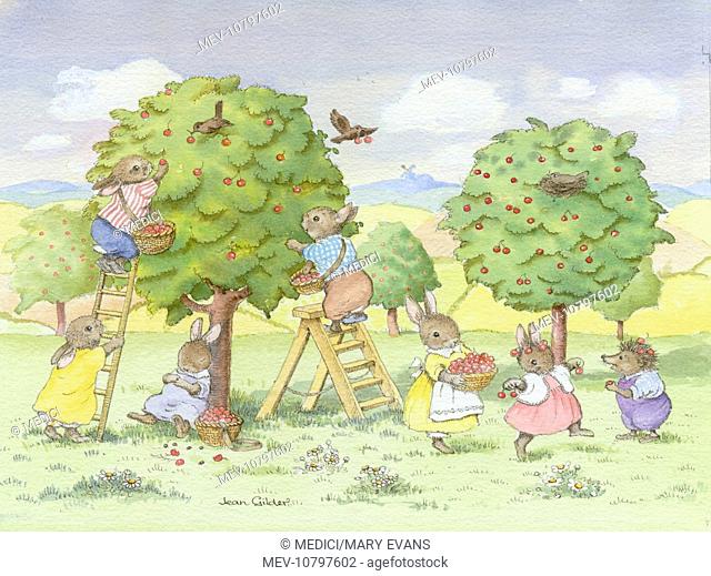 'The Cherry Pickers' – with rabbits, hedgehog and birds