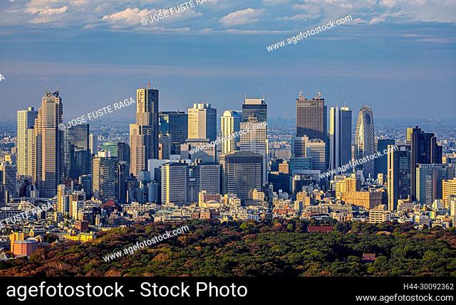 Japan , Tokyo City, Meiji Park and Shinkuku Skyline