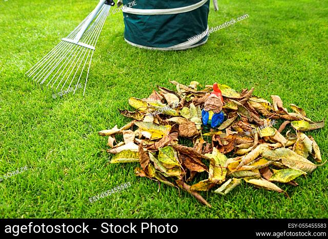 lawn, gardening, leaf pile