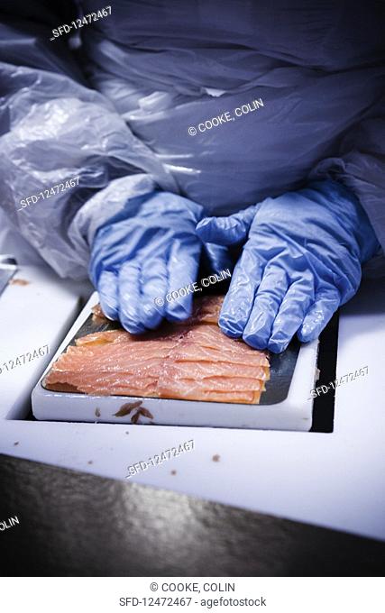 A work packing salmon slices