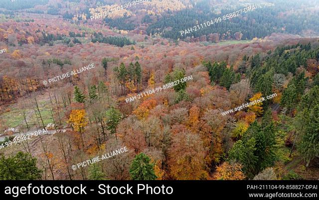 PRODUCTION - 02 November 2021, Hessen, Schmitten: A patch of forest with beech and spruce trees in the Hochtaunus near Schmitten (aerial photograph taken with a...