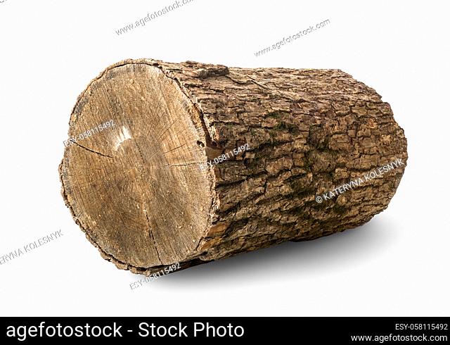 Pine log isolated on a white background
