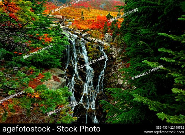 Fall Color and Myrtle Falls in Mt Rainier National Park in Washington