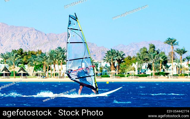 windsurfer rides on the waves of the Red Sea on the background of the beach with palm trees and high mountains in Egypt Dahab