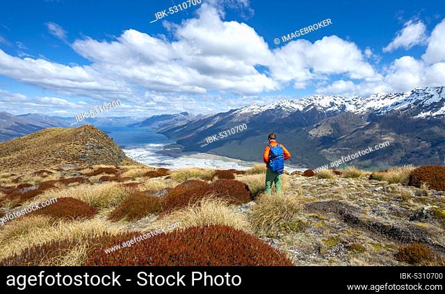 Hiker on the summit of Mount Alfred, views of Lake Wakatipu and mountain peaks, Glenorchy near Queenstown, Southern Alps, Otago, South Island, New Zealand