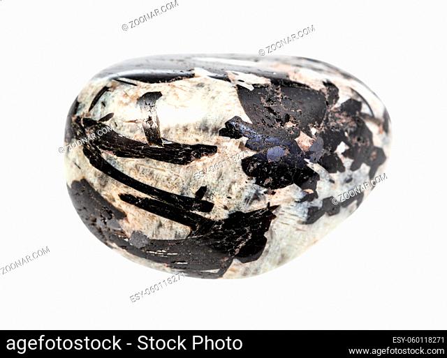 closeup of sample of natural mineral from geological collection - black Aegirine in polished Microcline rock isolated on white background
