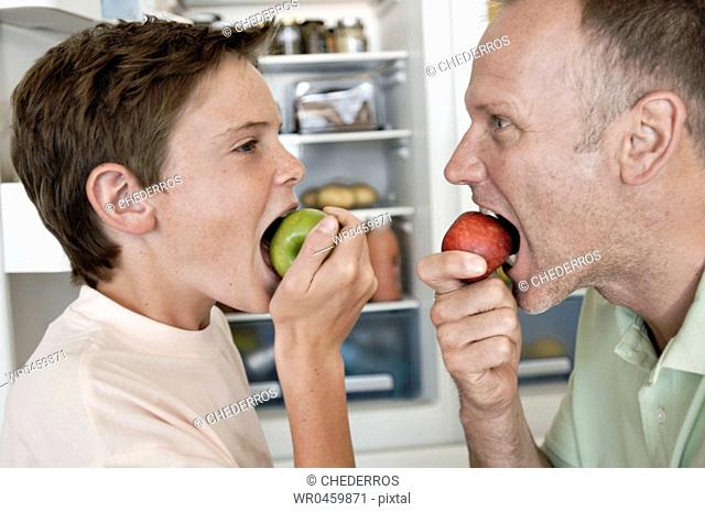 Side profile of a mature man and his son looking at each other and eating apples
