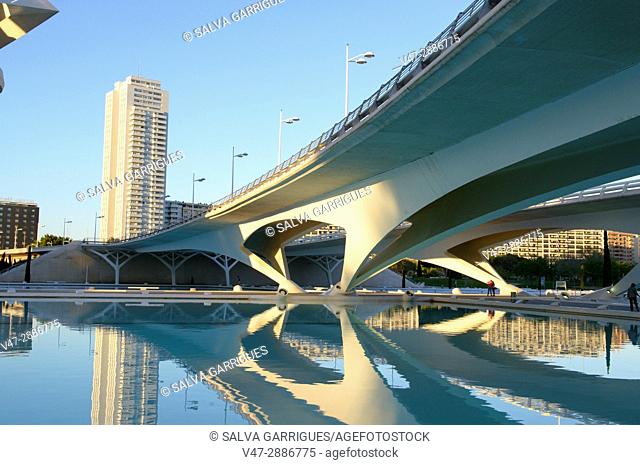 Monteolivete bridge, City of Arts and Sciences, Valencia, Spain, Europe