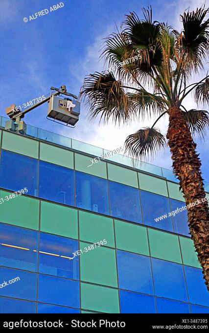 Palm tree and glass windows, Desigual building, 2013, architect Ricardo Bofill, Barcelona, ??Catalonia, Spain