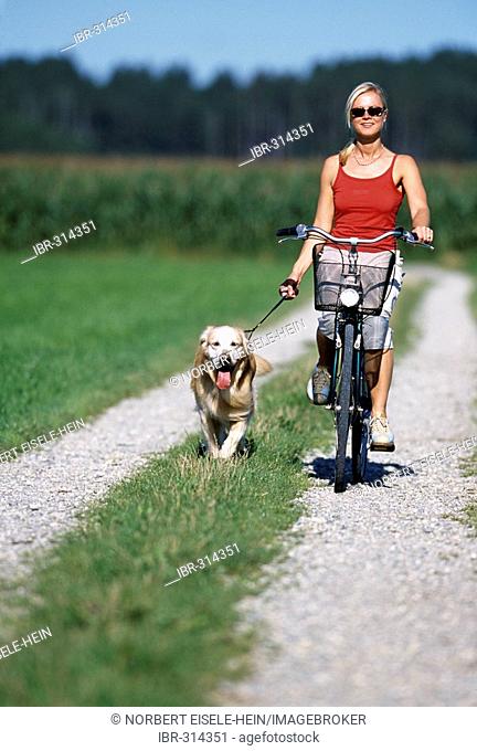 Biker with dog, Starnberg, Bavaria, Germany