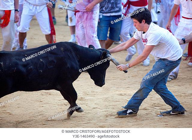 Spain, Navarre, Pamplona, Festival of San Fermin, Encierro running of the bulls, bullring, vaquilla little cow