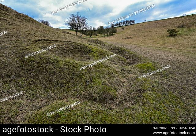 04 February 2020, Brandenburg, Seelow: A former trench from the Second World War can be seen on a hill at the edge of the Oderbruch