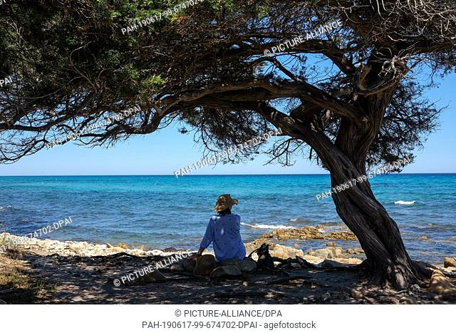05 June 2019, Italy, Nuoro: A woman has sat under a tree on a beach in the National Park di Bidderosa in the Gulf of Orosei