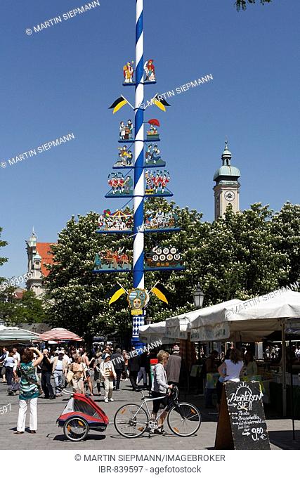 Maypole on Viktualienmarkt Market, Heiliggeistkirche, Church of the Holy Spirit at back, Munich, Upper Bavaria, Germany, Europe