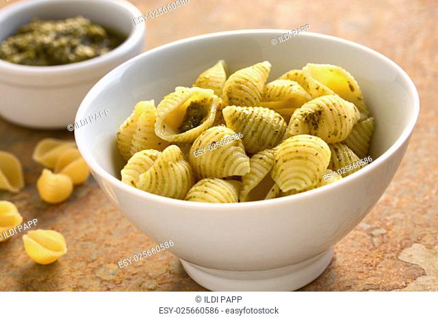 Pesto alla genovese on shell pasta. Pesto is a traditional basil sauce for pasta in the Italian cuisine. Photographed on slate with natural light (Selective...