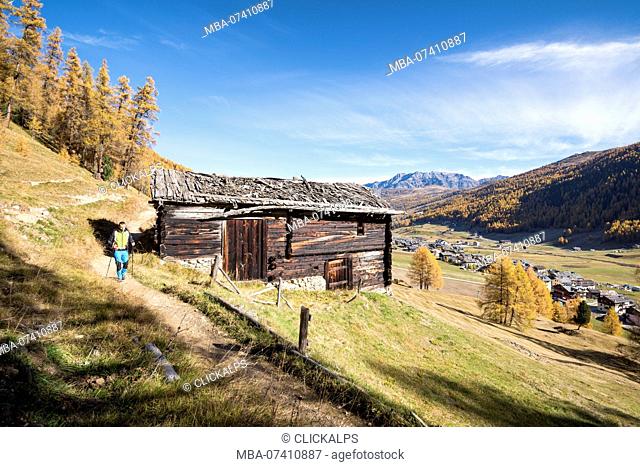 Hiker travelling on the track in Livigno, Province of Sondrio, Lombardy, Italy, European